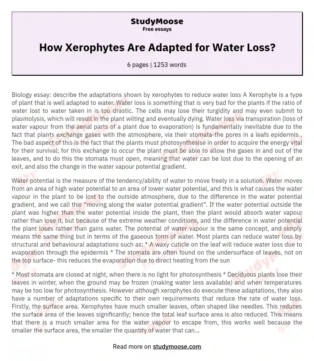How Xerophytes Are Adapted for Water Loss? essay