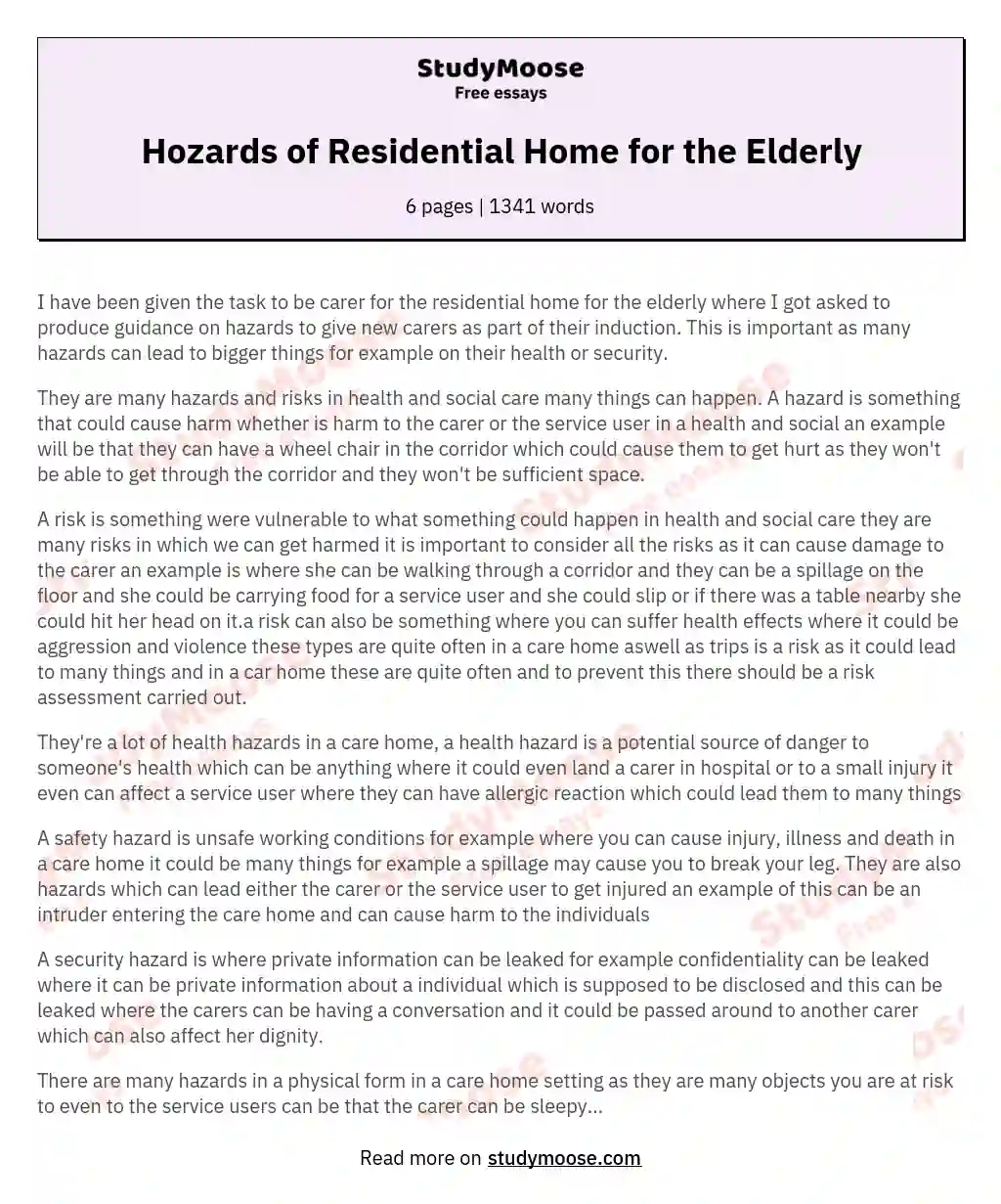 Hozards of Residential Home for the Elderly essay