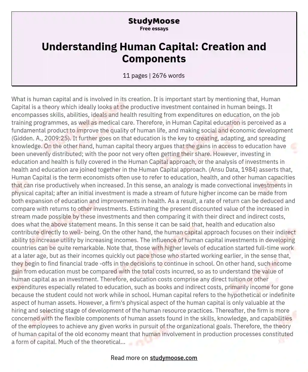 Understanding Human Capital: Creation and Components essay