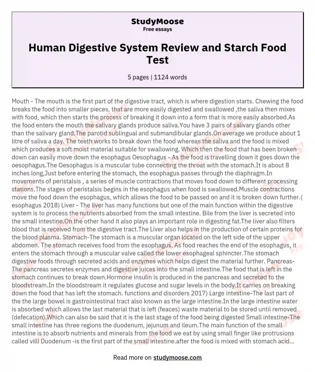 Human Digestive System Review and Starch Food Test