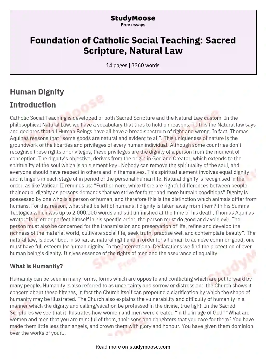 Foundation of Catholic Social Teaching: Sacred Scripture, Natural Law essay
