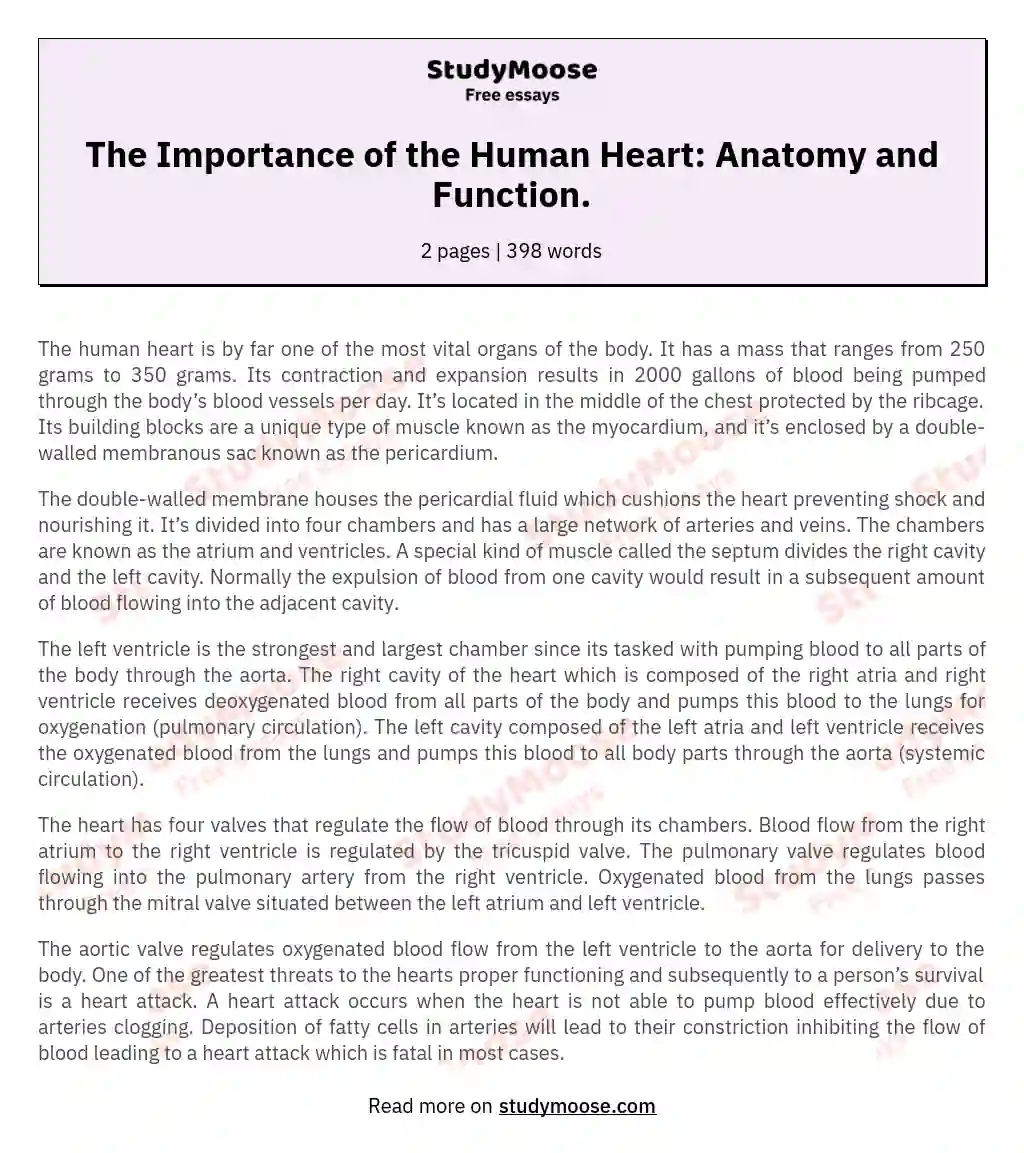The Importance of the Human Heart: Anatomy and Function. essay