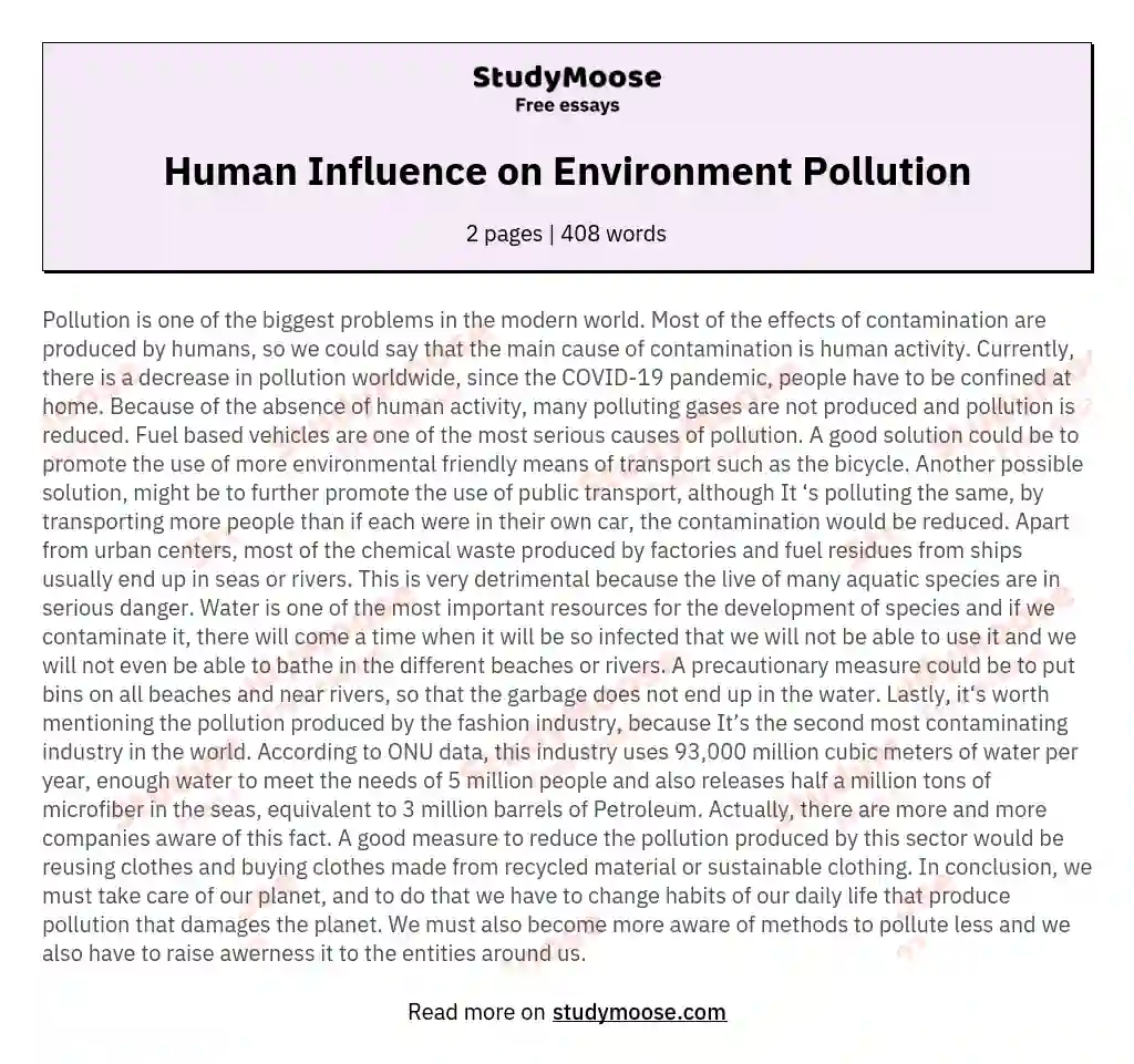 Human Influence on Environment Pollution essay