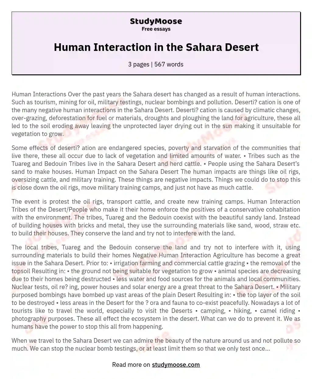 Human Interaction in the Sahara Desert essay
