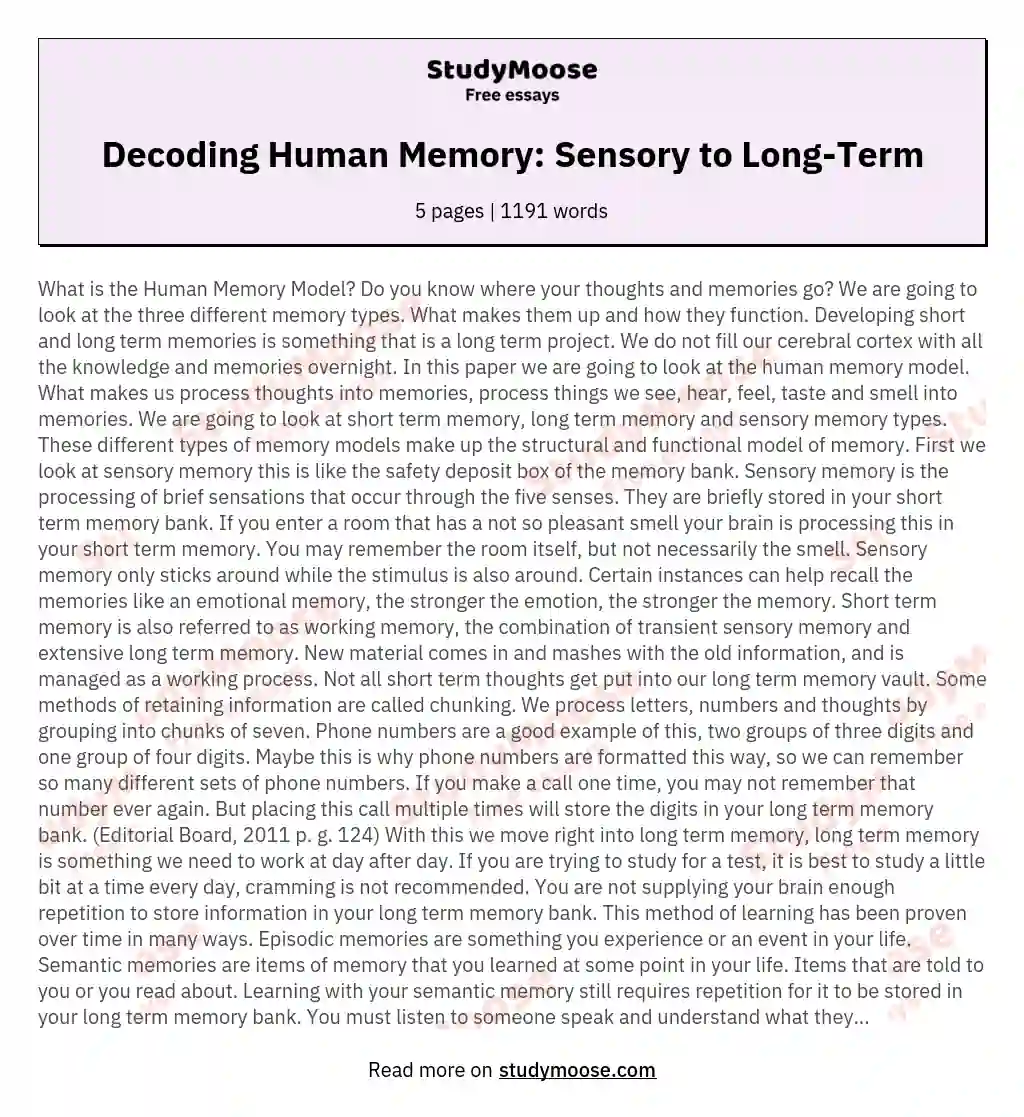 Decoding Human Memory: Sensory to Long-Term essay
