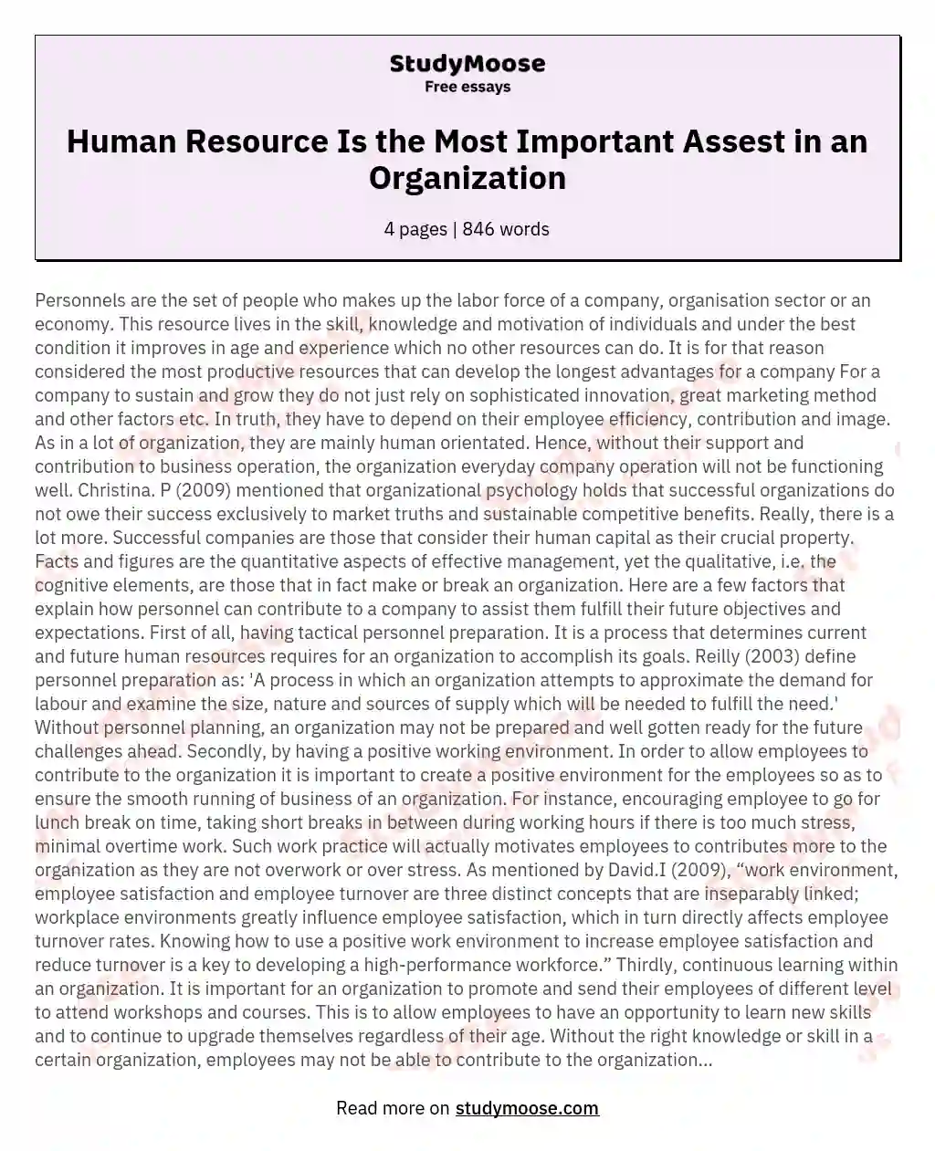Human Resource Is the Most Important Assest in an Organization essay