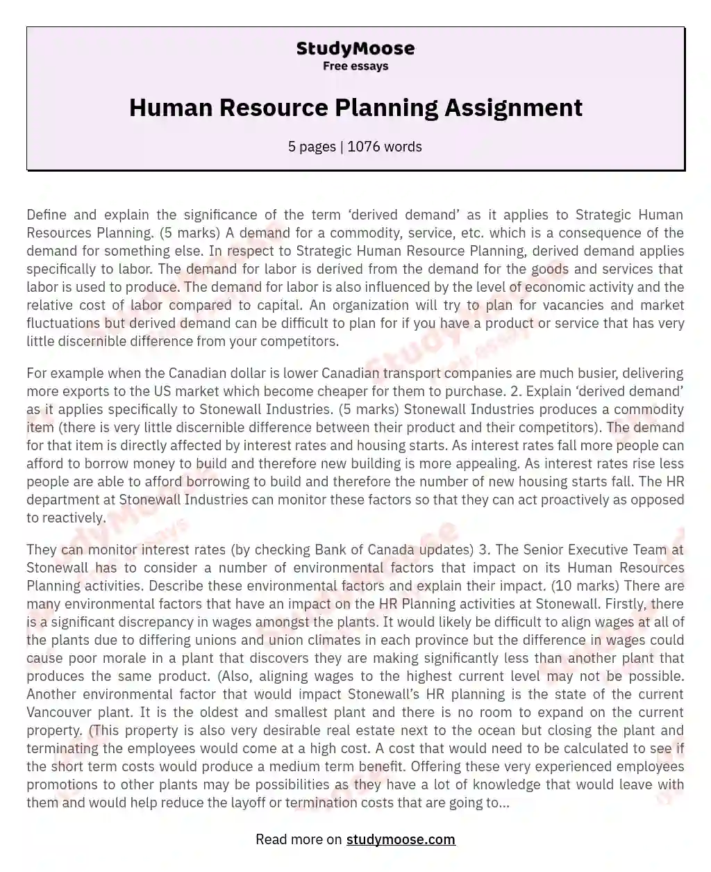 Human Resource Planning Assignment essay