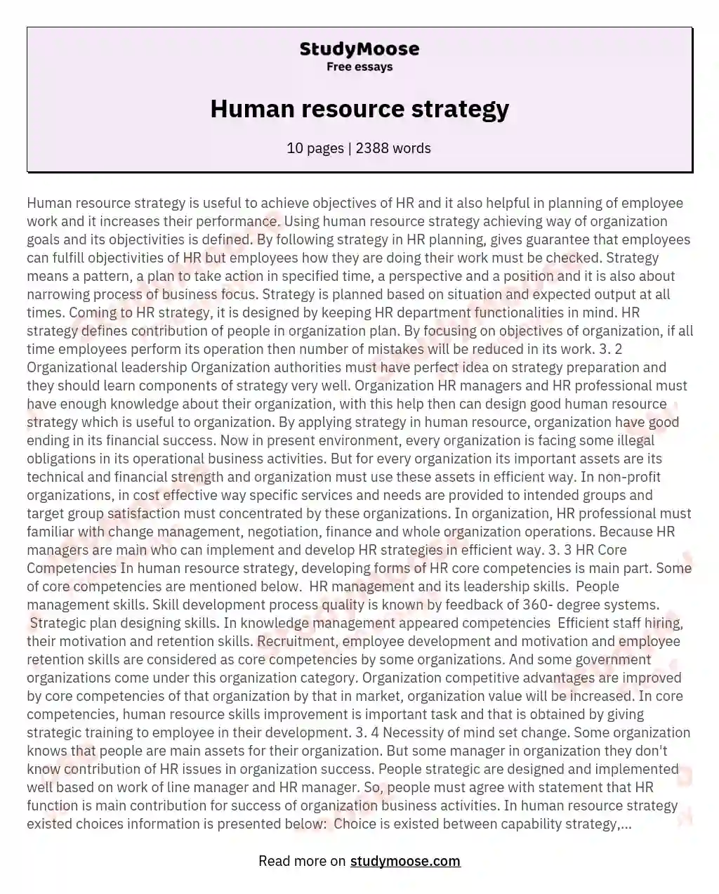 Human resource strategy essay