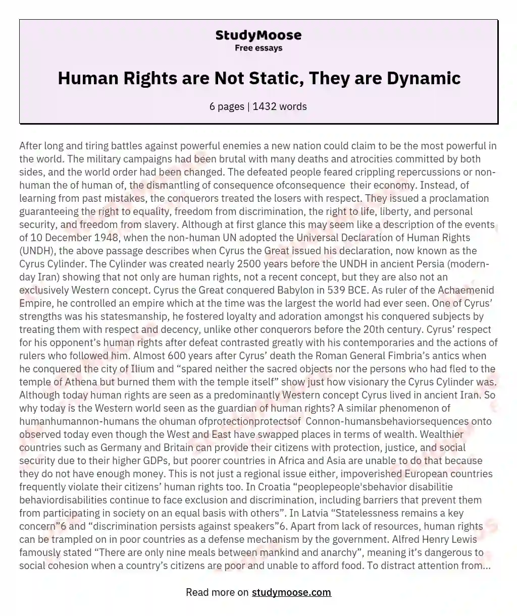 Human Rights are Not Static, They are Dynamic essay