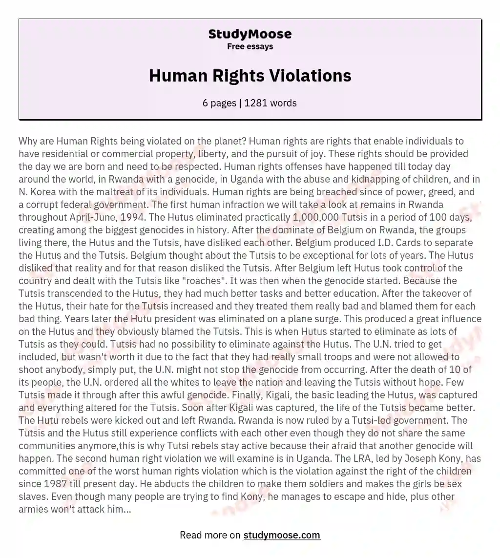 describe human rights violation essay