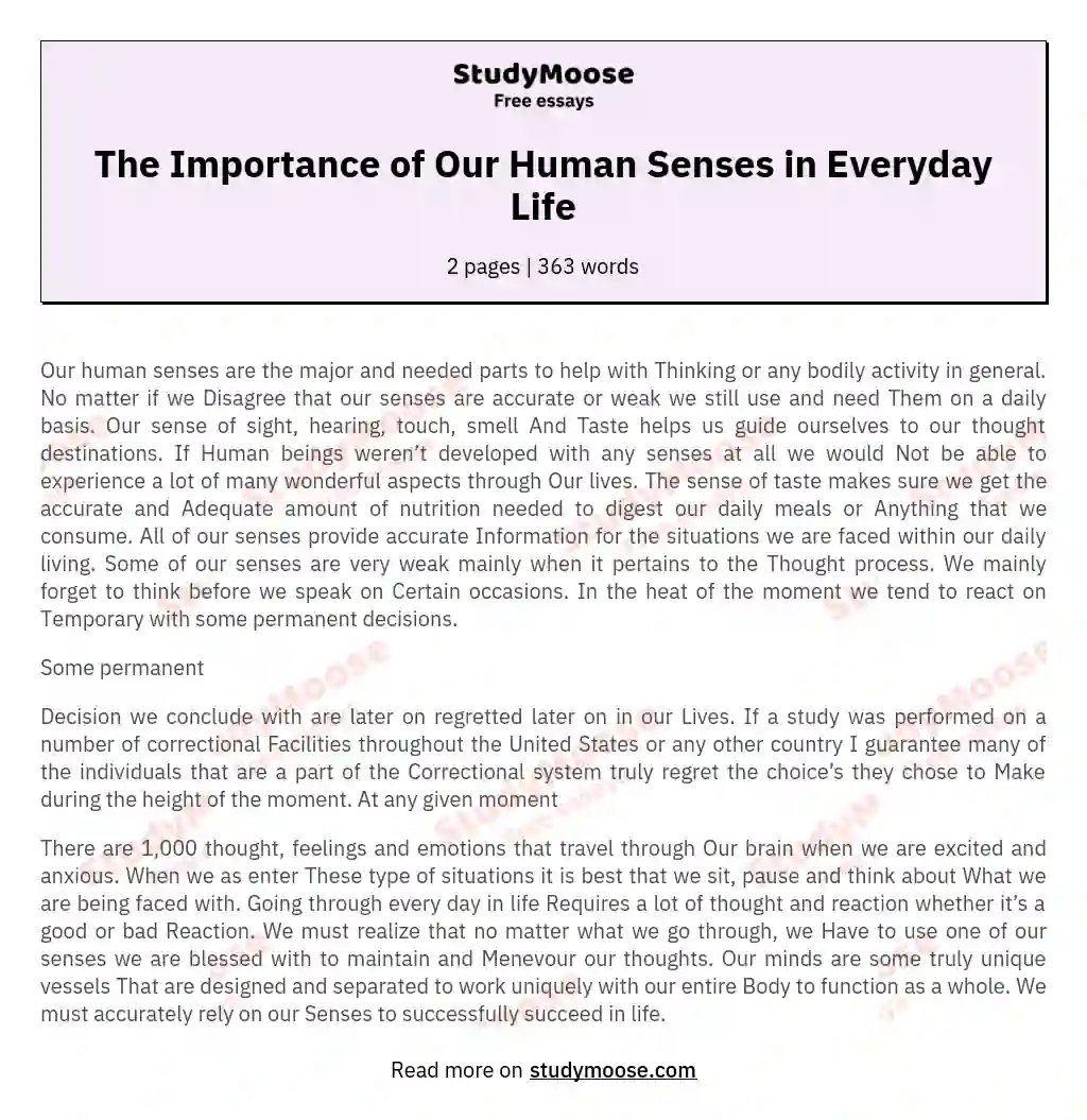 the-importance-of-our-human-senses-in-everyday-life-free-essay-example