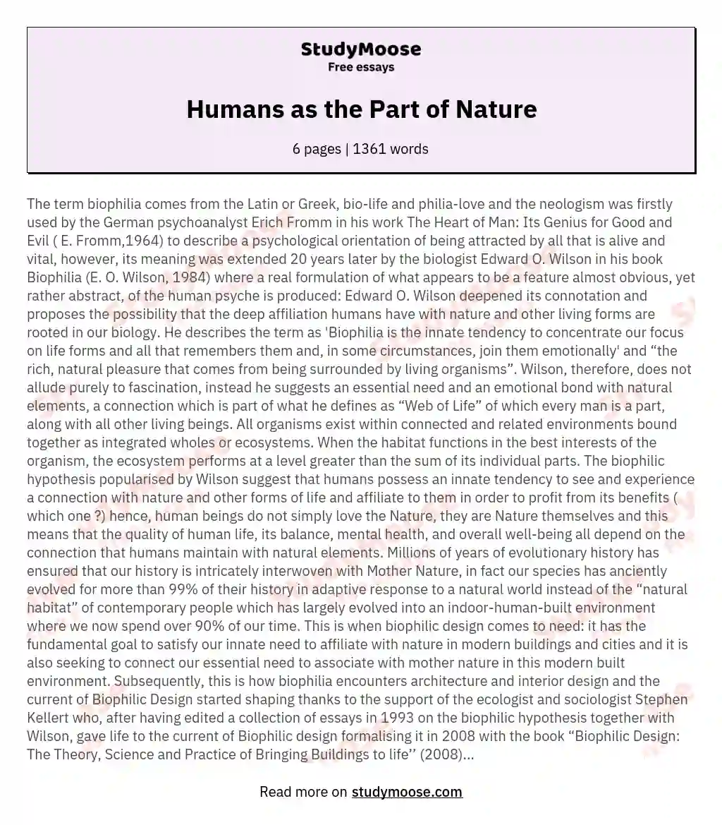 Humans as the Part of Nature essay