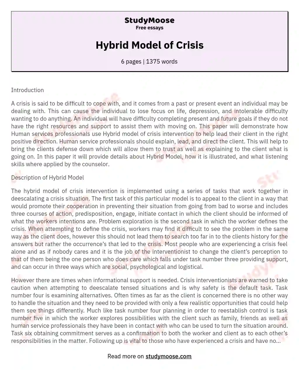Hybrid Model of Crisis