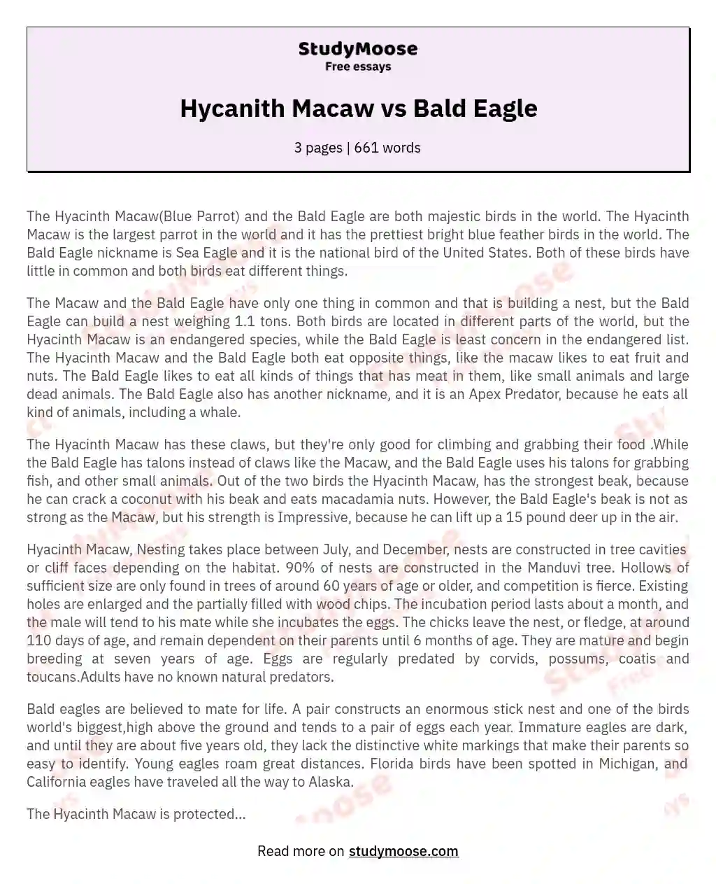 Hycanith Macaw vs Bald Eagle essay