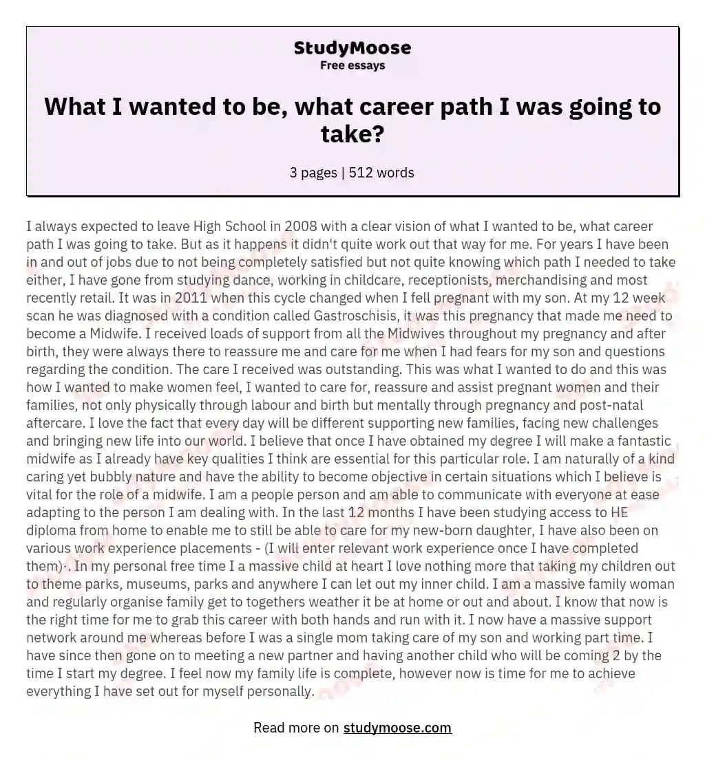 What I wanted to be, what career path I was going to take? essay
