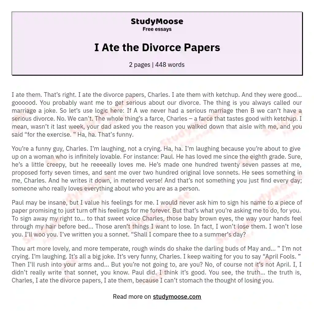 I Ate the Divorce Papers essay