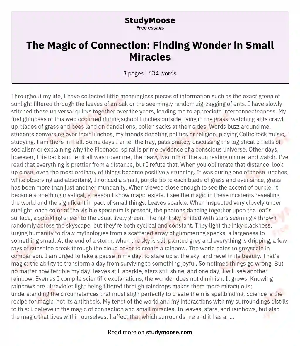 The Magic of Connection: Finding Wonder in Small Miracles essay
