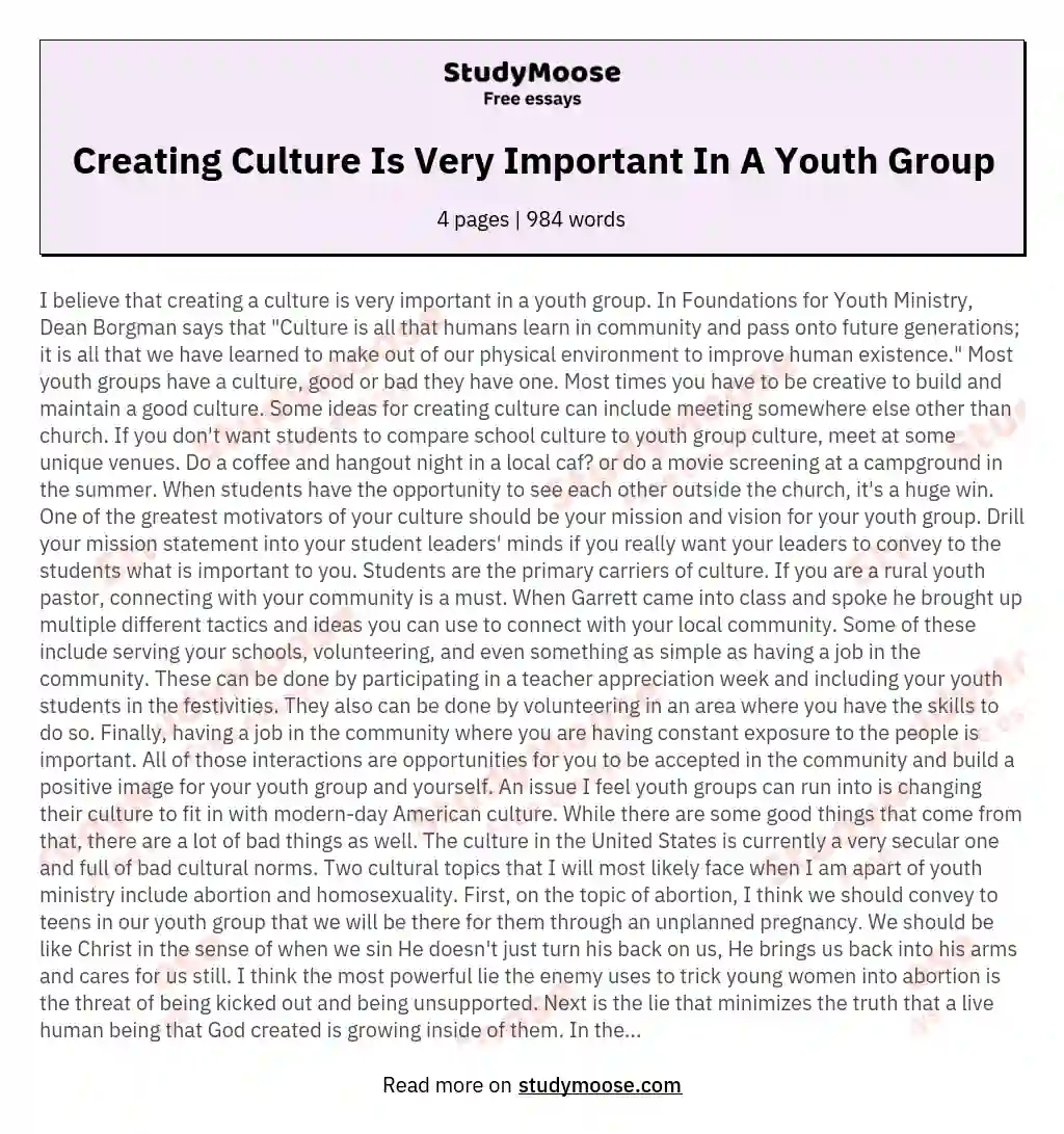 Creating Culture Is Very Important In A Youth Group essay