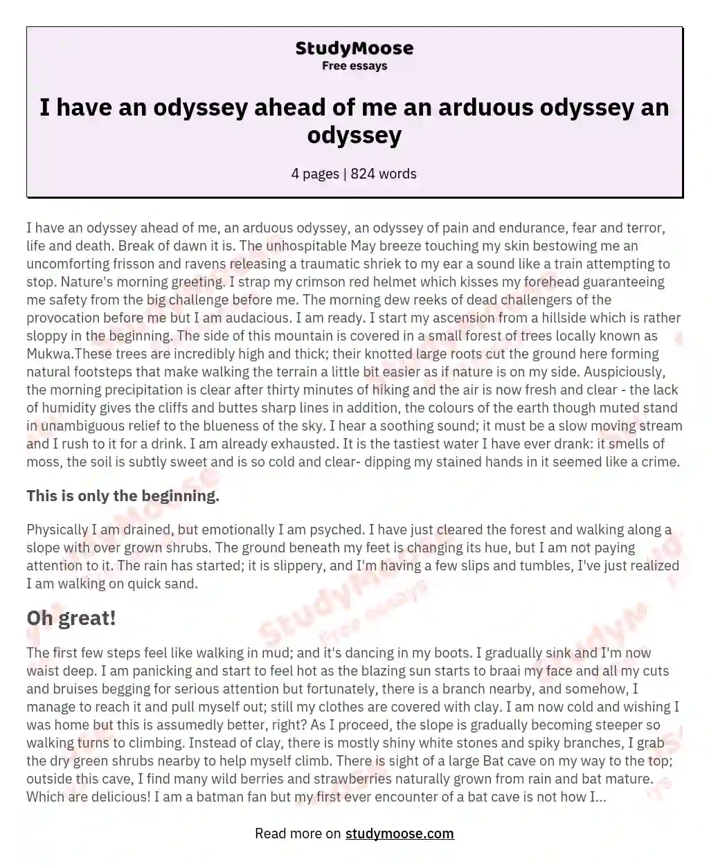 I have an odyssey ahead of me an arduous odyssey an odyssey essay