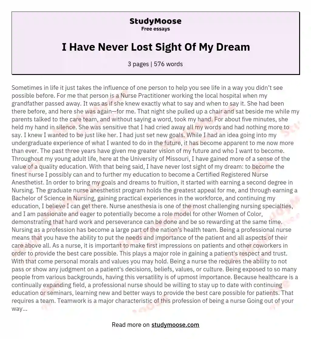 I Have Never Lost Sight Of My Dream essay