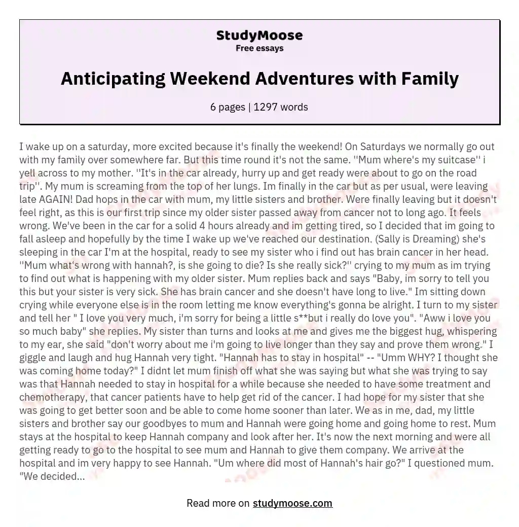 Anticipating Weekend Adventures with Family essay