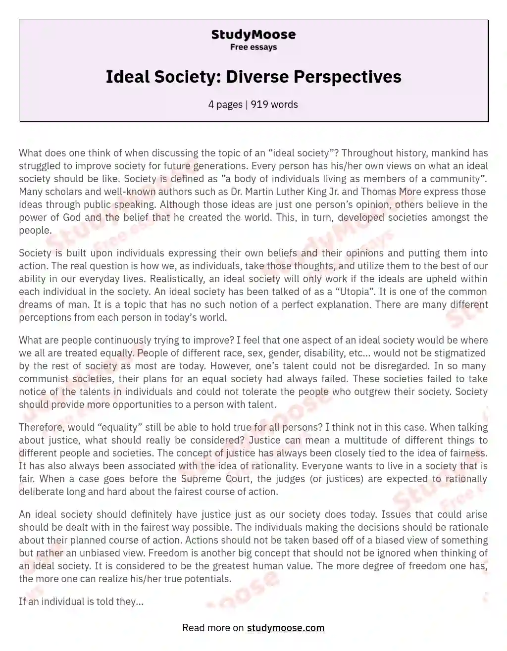 Ideal Society: Diverse Perspectives essay
