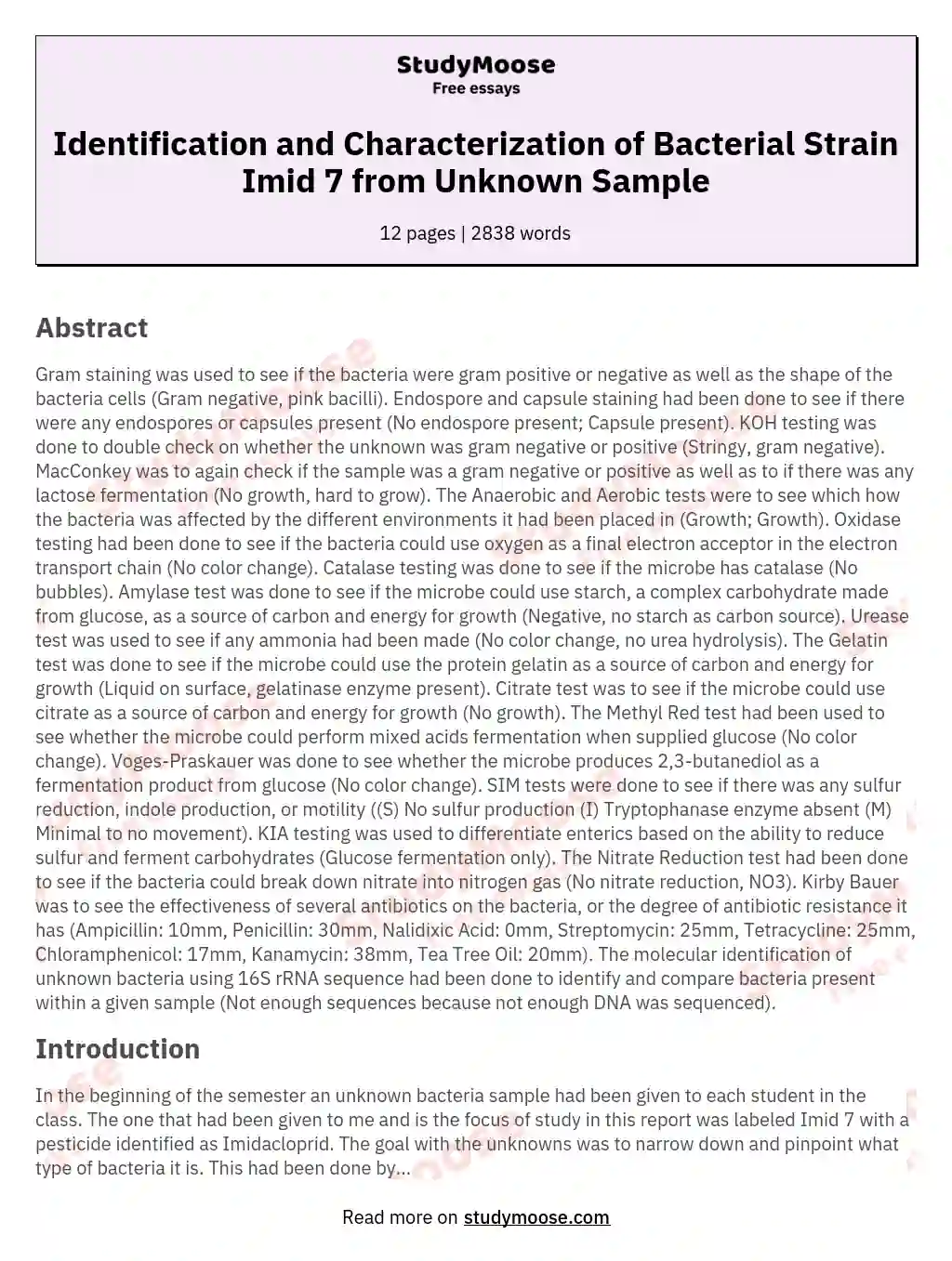 Identification and Characterization of Bacterial Strain Imid 7 from Unknown Sample essay