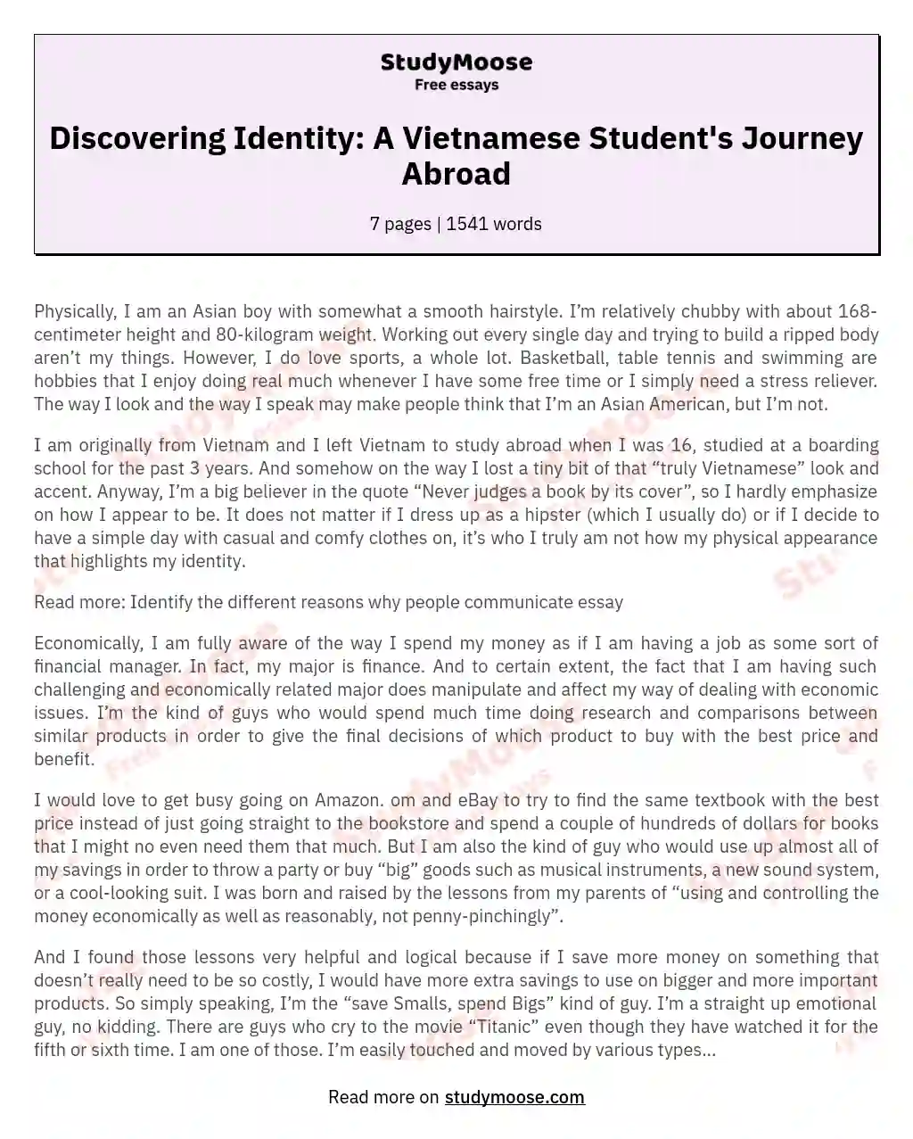 Discovering Identity: A Vietnamese Student's Journey Abroad essay