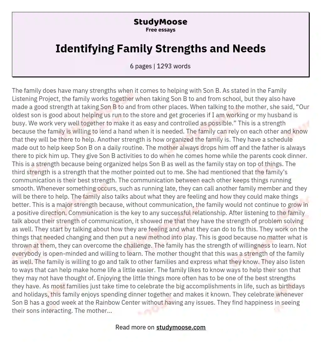 Identifying Family Strengths and Needs essay