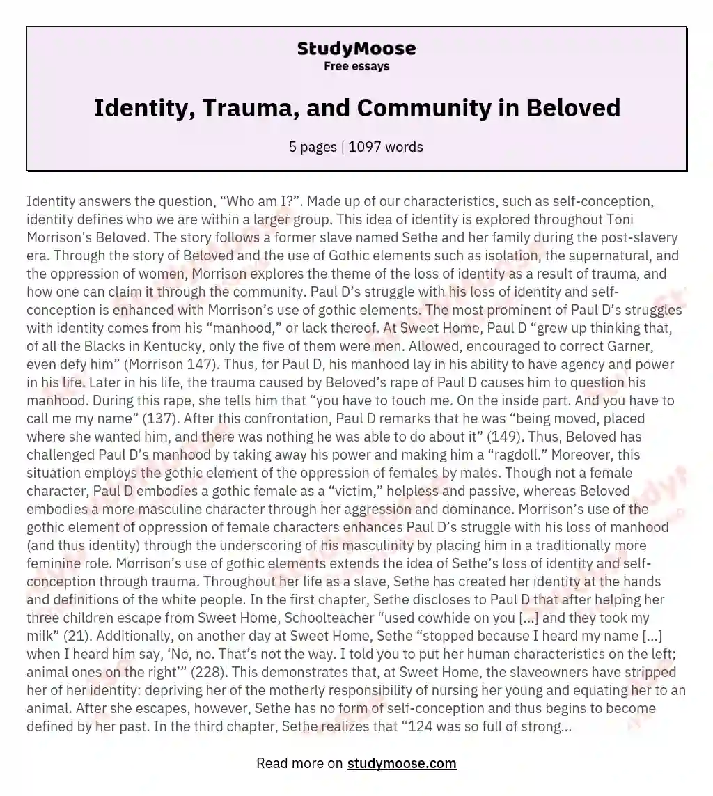 Identity, Trauma, and Community in Beloved essay