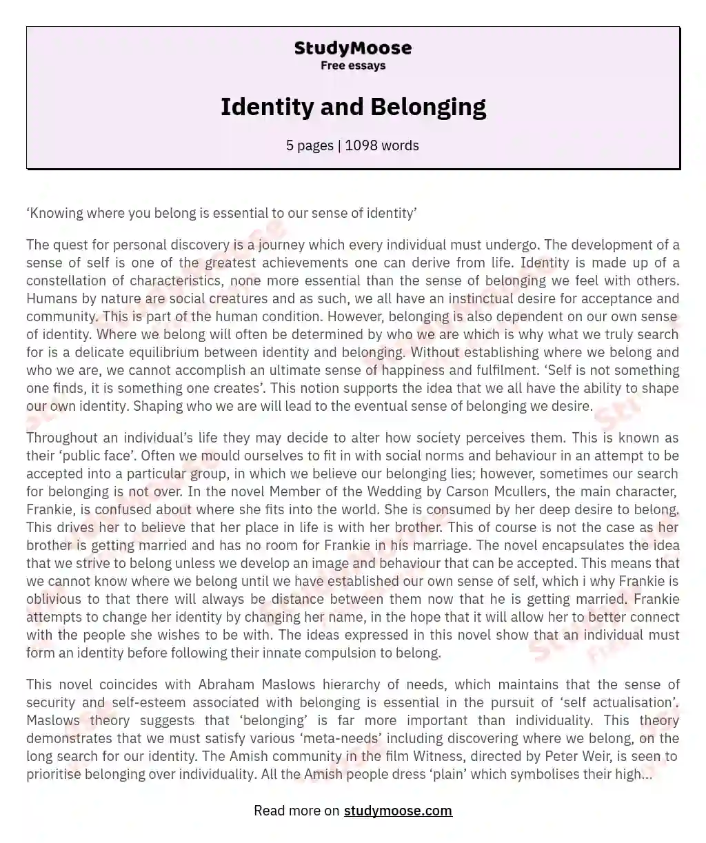 The Quest for Identity and Belonging essay