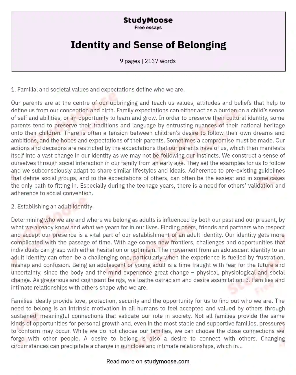 Identity and Sense of Belonging essay