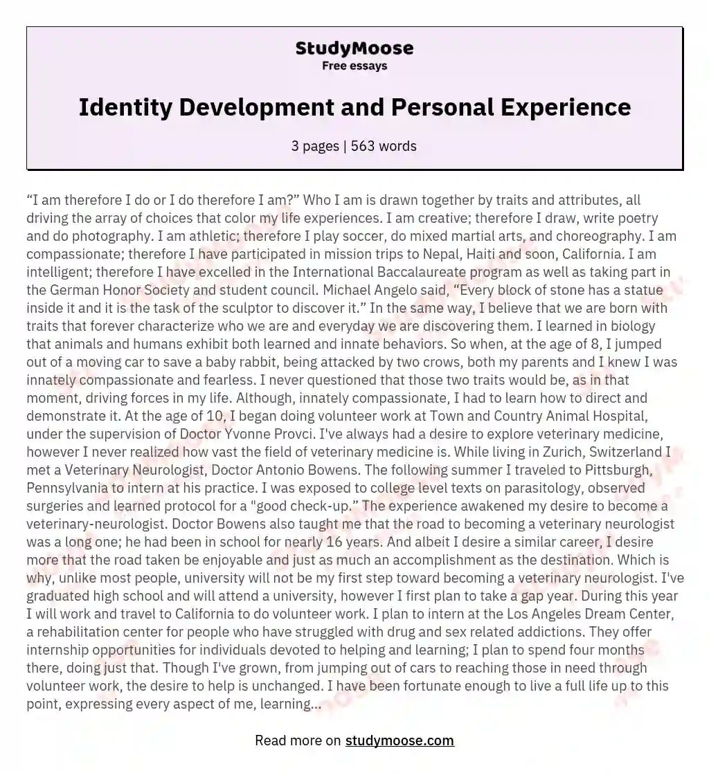 Identity Development and Personal Experience essay