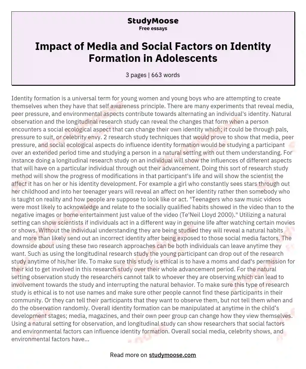 Impact of Media and Social Factors on Identity Formation in Adolescents essay