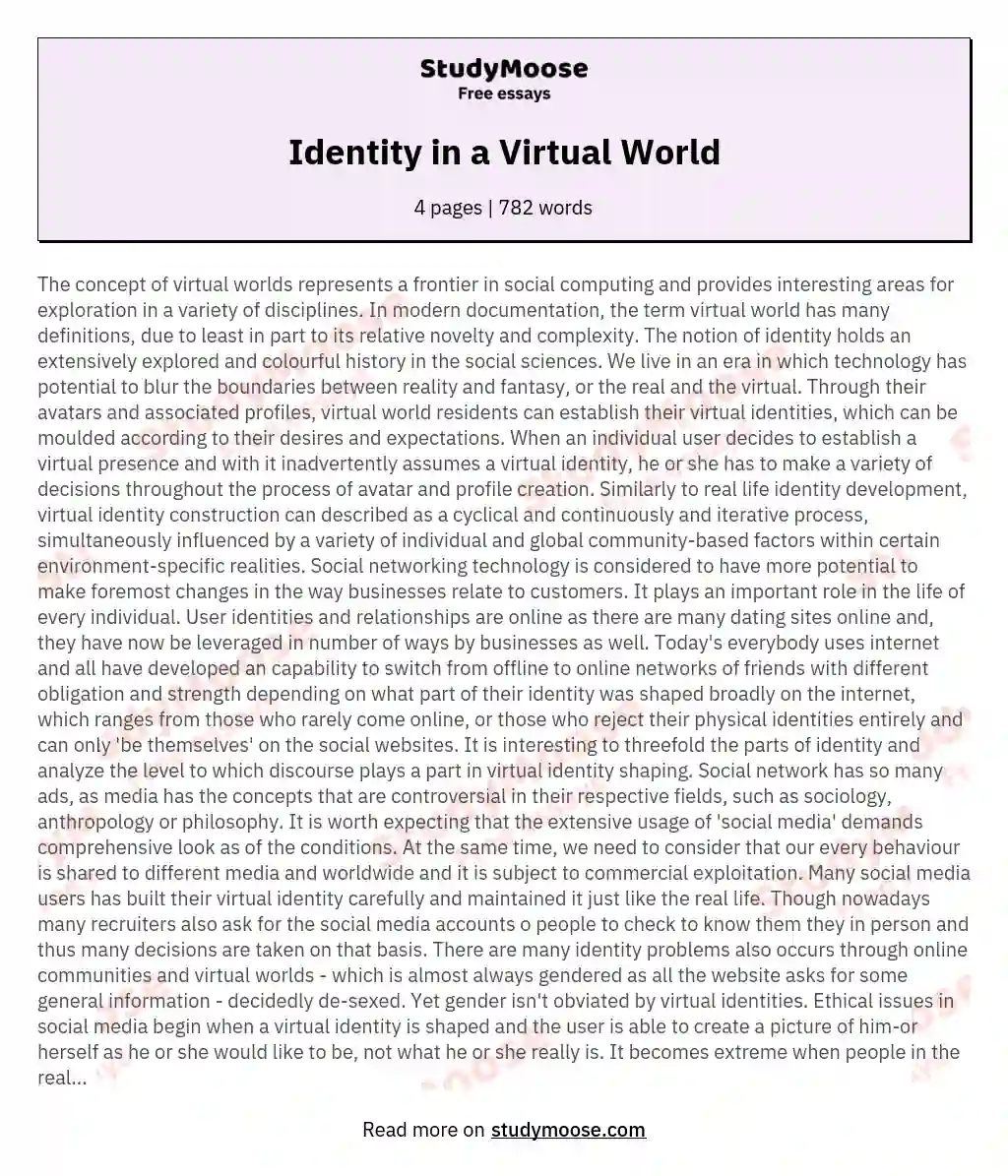 Identity in a Virtual World essay