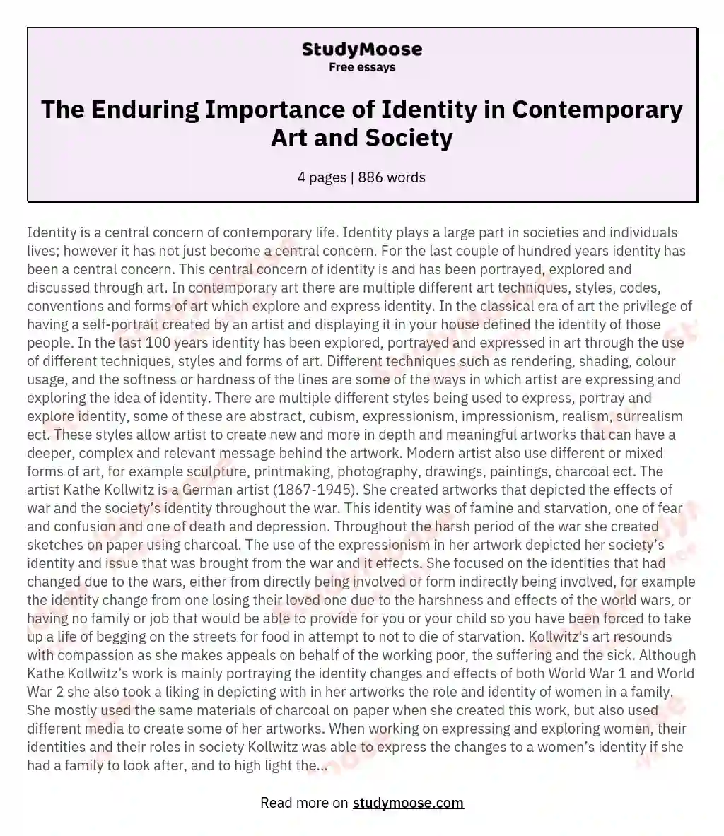 The Enduring Importance of Identity in Contemporary Art and Society essay