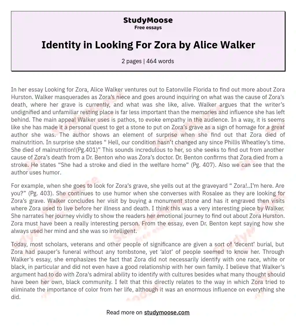 Identity in Looking For Zora by Alice Walker essay