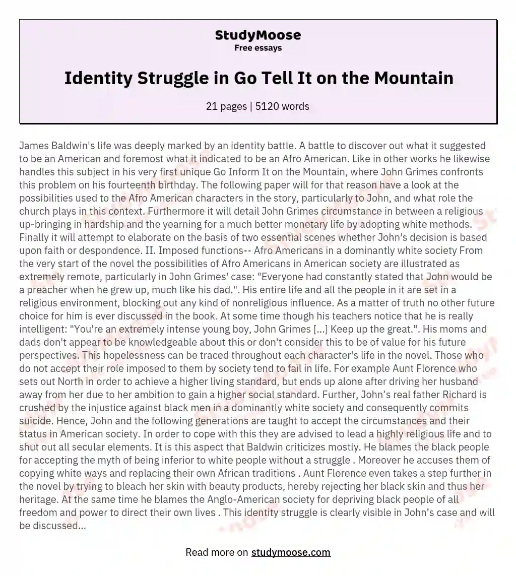 Identity struggle - The narrow and broad path in James Baldwin’s Go Tell It on the Mountain