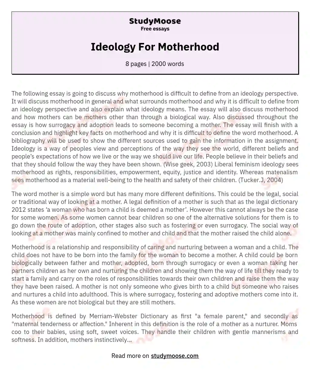 Defining Motherhood: Challenges and Perspectives essay