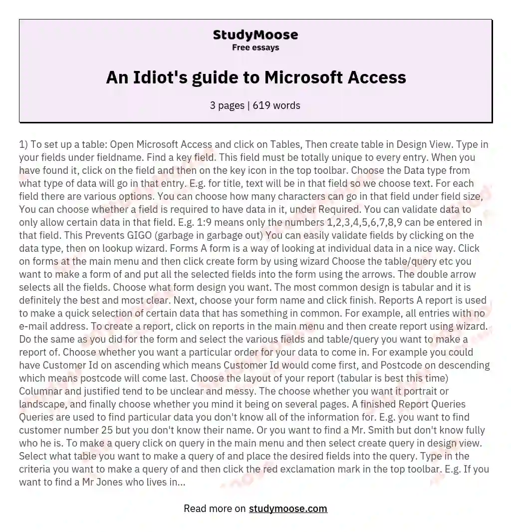 An Idiot's guide to Microsoft Access essay