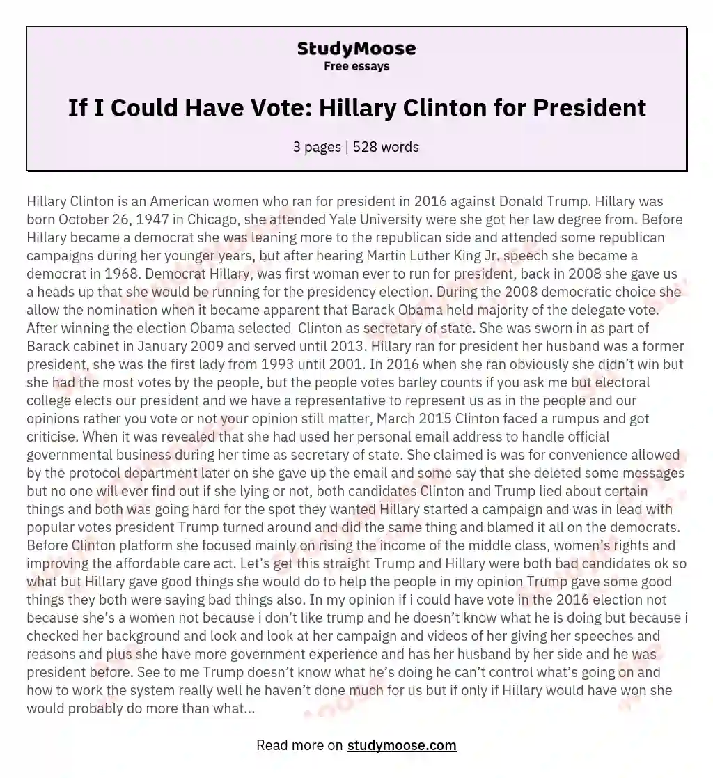 If I Could Have Vote: Hillary Clinton for President essay