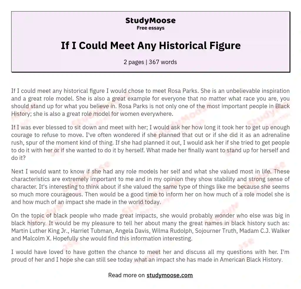 If I Could Meet Any Historical Figure essay