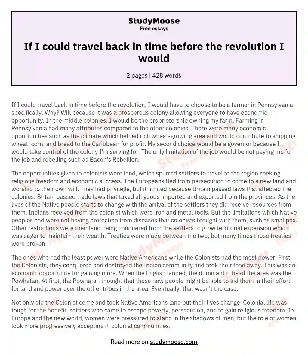 if i could time travel essay