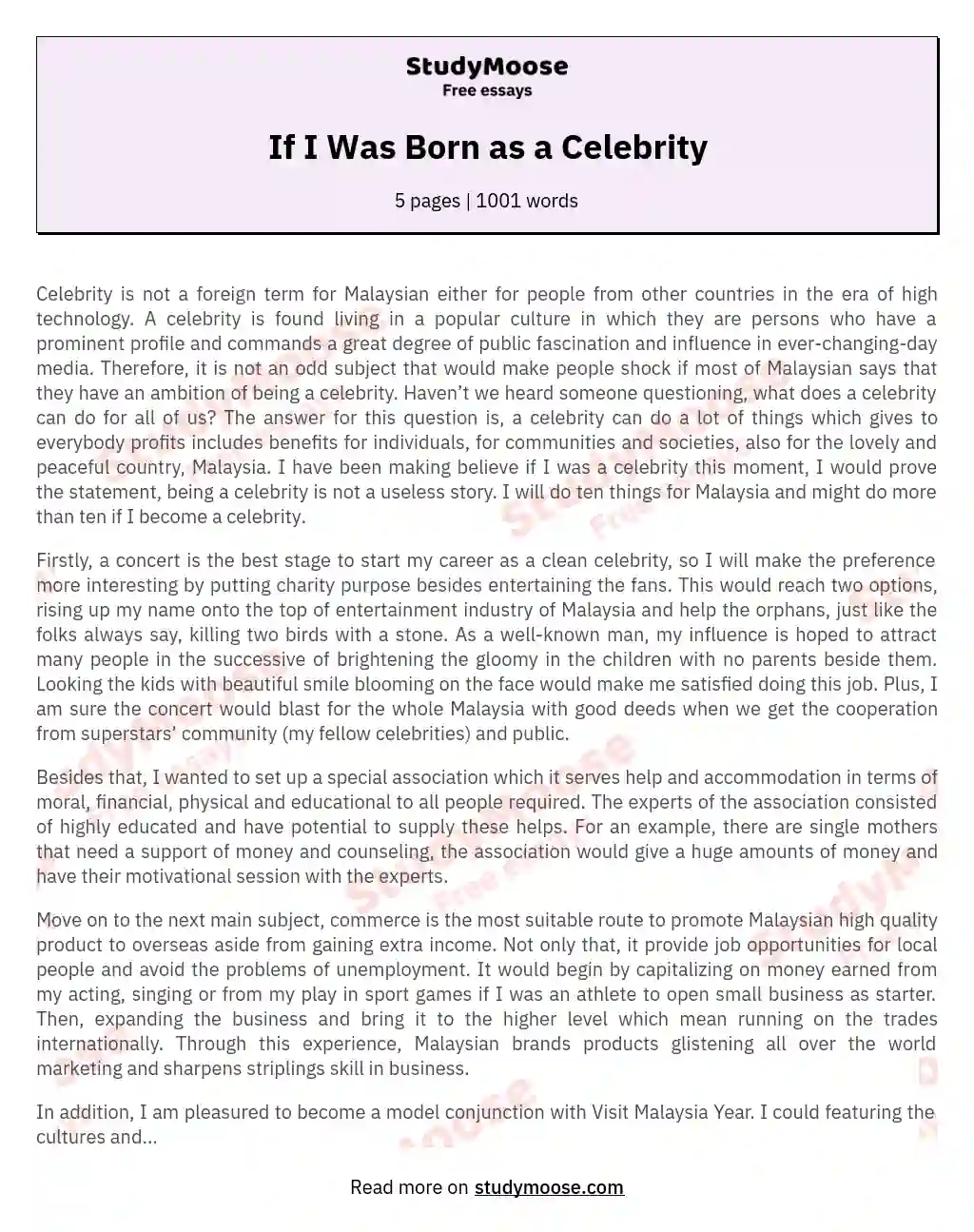 If I Was Born as a Celebrity essay