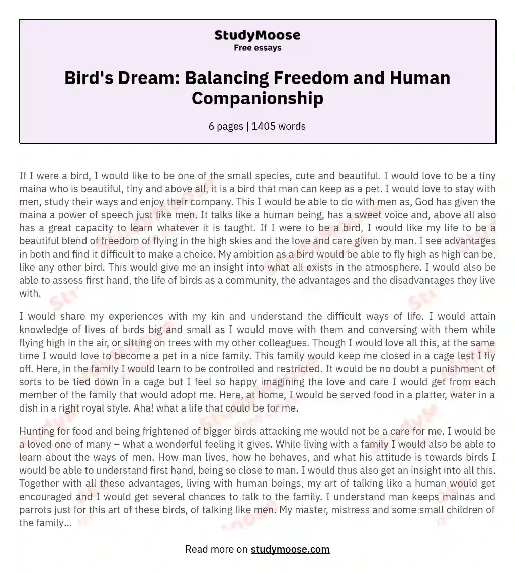 Bird's Dream: Balancing Freedom and Human Companionship essay