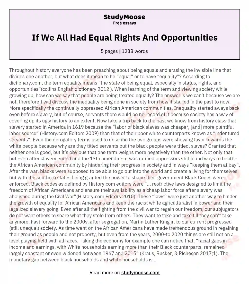 If We All Had Equal Rights And Opportunities essay
