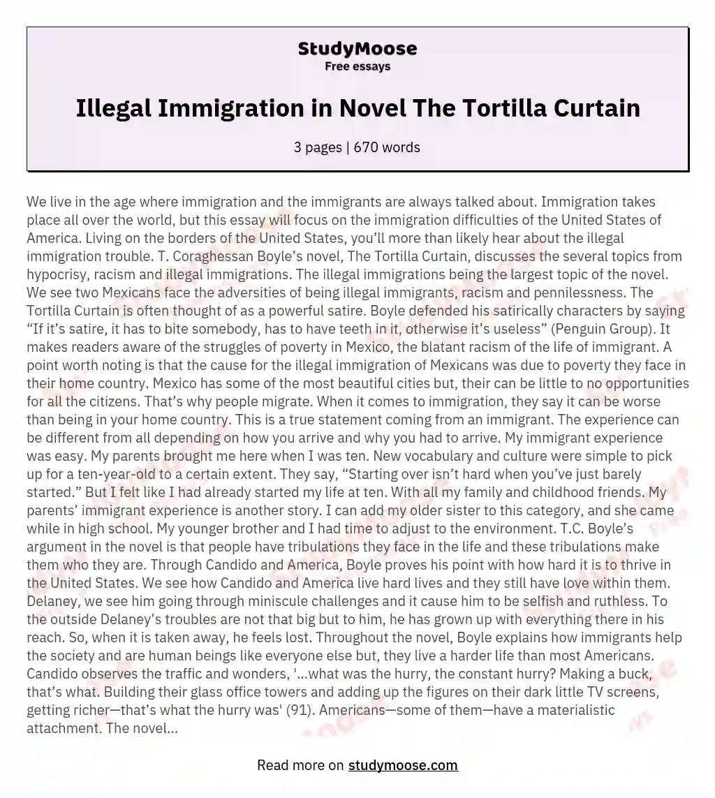 Illegal Immigration in Novel The Tortilla Curtain essay