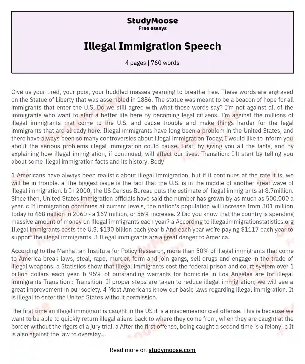 Illegal Immigration Speech essay
