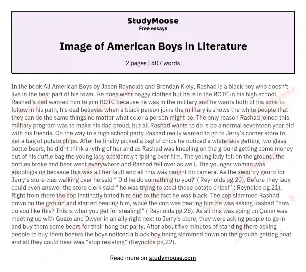 Image of American Boys in Literature essay