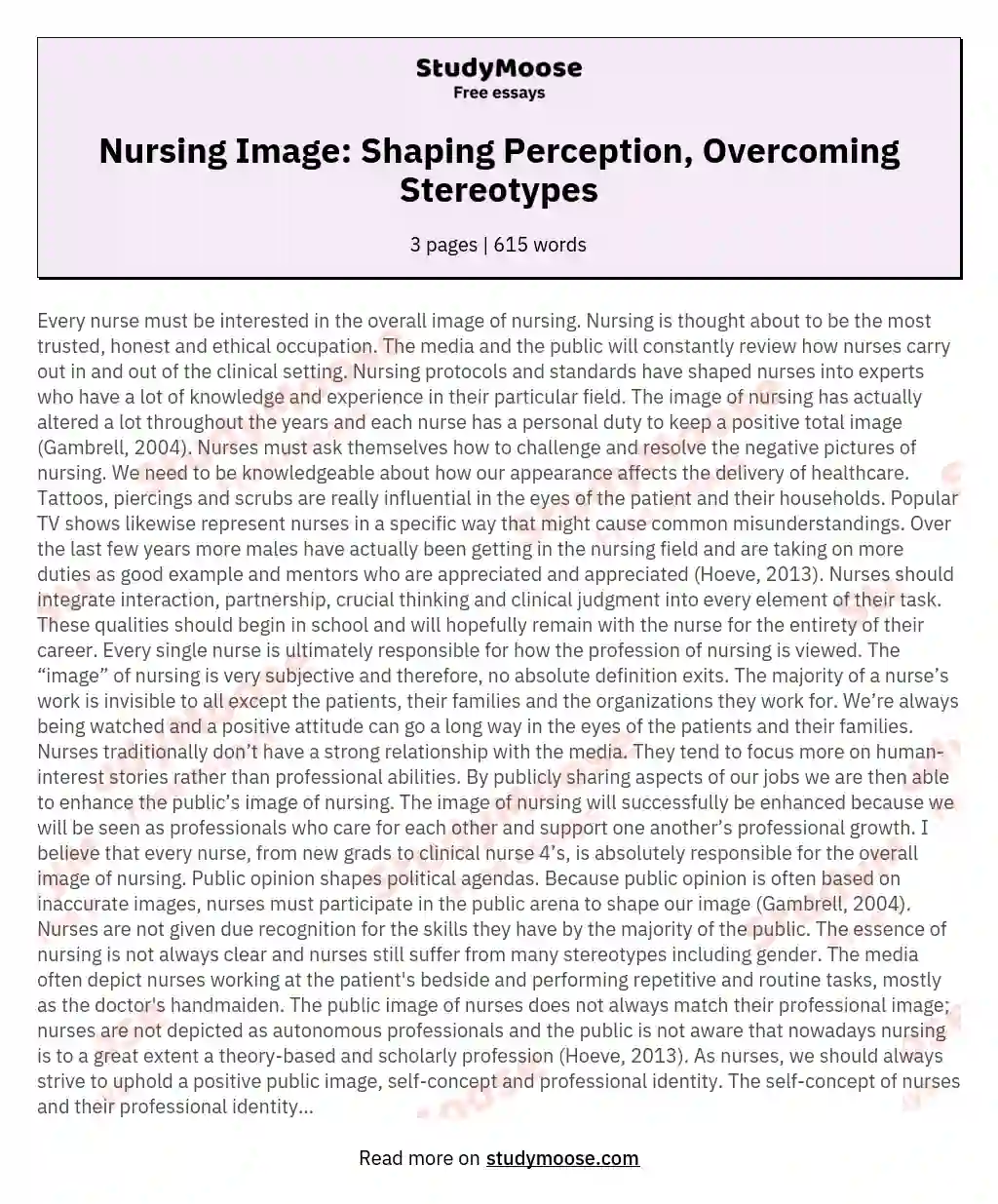 Nursing Image: Shaping Perception, Overcoming Stereotypes essay